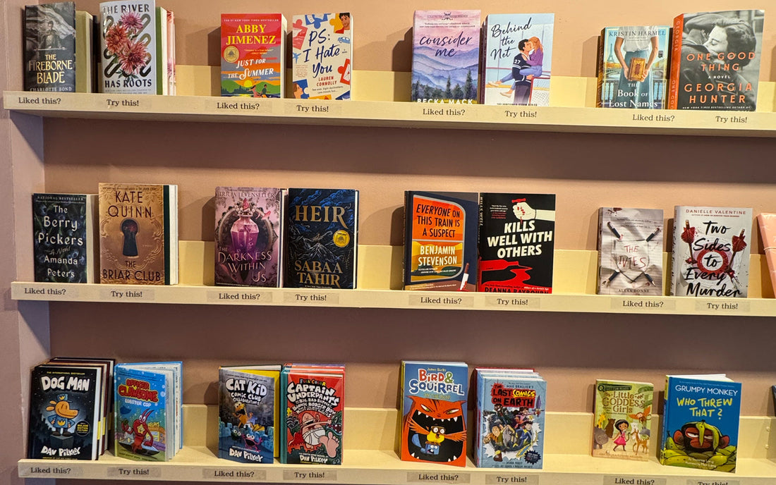Liked This? Try That book shelf at Novel