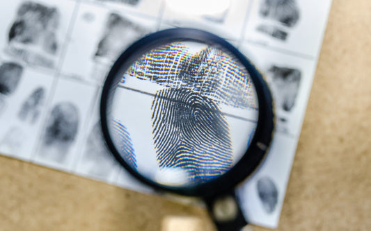 Fingerprint evidence through a magnifying glass