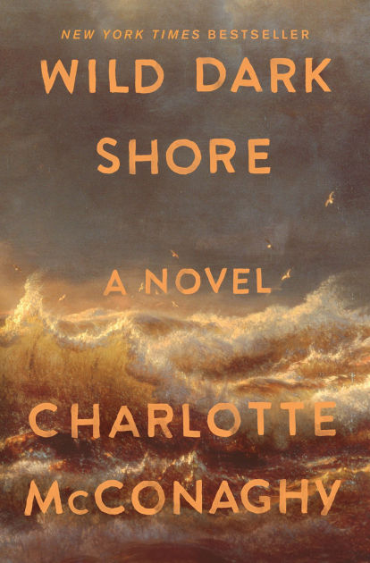 Wild Dark Shore - Mystery Book Club
